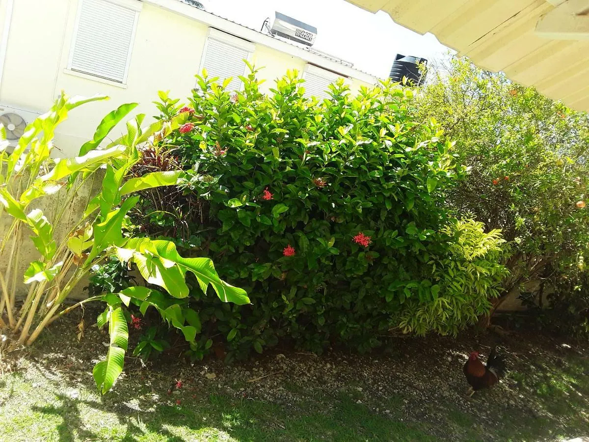 Carib Blue Apartments Oistins Barbados